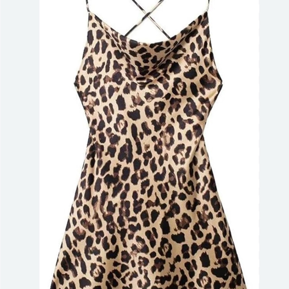 Zara Leopard Print Dress